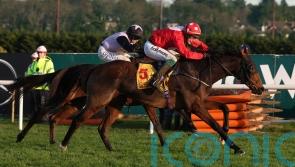 Home By The Lee continues ‘dream’ run for Joseph O’Brien