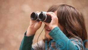 Help the kids make the most of Big Schools’ Birdwatch