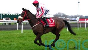 The Real Whacker set for two more trips to Cheltenham