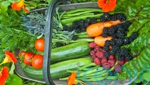 The spots to place edible plants for successful growing