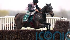 Elliott contemplating Windsor run for Gerri Colombe