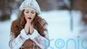 How the cold snap is affecting your hair