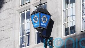 Man arrested after suspected firearm reported on train arriving in Dublin