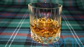 6 splendid whiskies to cheer Burns Night suppers