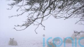 End of cold snap ‘in sight’ in Ireland
