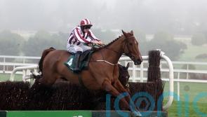 O’Loughlin weighing up Windsor for Jeannot Lapin