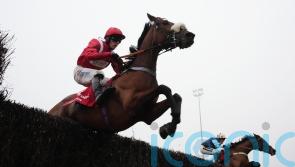 Soul Icon camp eyeing Sandown spin for their ‘little superstar’