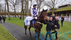 Dedicated Hero reigns supreme as Royal Infantry misfires