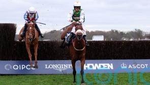 Irish Arkle on the radar for Here Comes Georgie