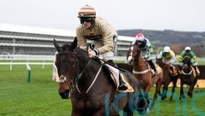 Broadway Boy team plotting Grand National route