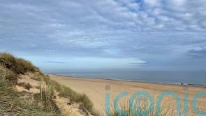 Seals and sea air make Norfolk a refreshing choice for a winter family break