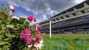 British Midsummer Bonus set up to tempt international runners