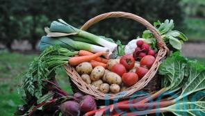 What’s in season to cook right now?