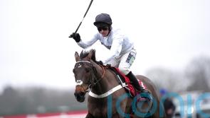Constitution Hill ‘up for it’ ahead of Festival prep