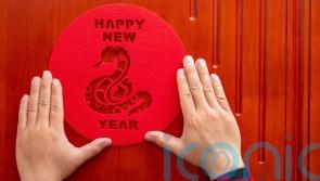 Chinese New Year: What does the Year of the Snake mean for your finances this year