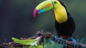 How I learned the secret to long life in Costa Rica’s ‘Blue Zone’