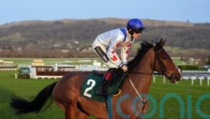 Potters Charm team expecting ‘different horse’ at Festival
