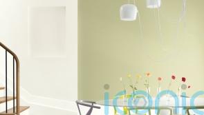 How to work lime cream into your scheme