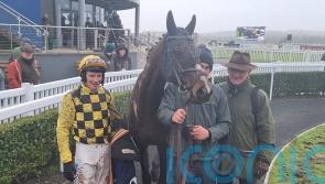 Anzadam ruled out for rest of season by Mullins