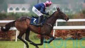 Kopek Des Bordes rules supreme at Leopardstown