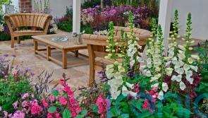 Easy design tips to help you create a beautiful garden