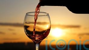 6 snazzy South American reds to swoon over