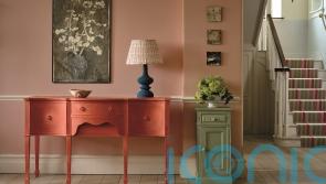 How to paint a room like a pro for perfect results