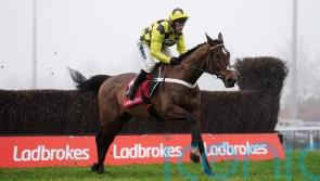 Henderson left frustrated as Sir Gino recovery stalls