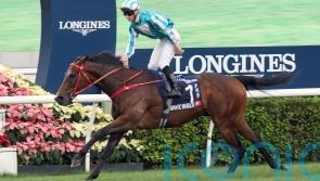 Saudi Cup set to be Romantic Warrior’s sole dirt task