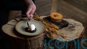 Niklas Ekstedt&rsquo;s ceps souffle with blueberries and milk ice cream