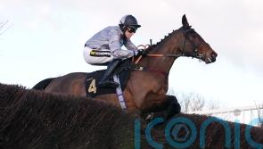 Telepathique to take Mares’ Chase test