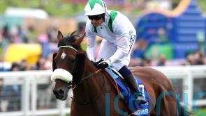Deira Mile set for Red Sea mission