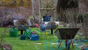 How to get your garden spring-ready