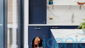 How to create a pet-friendly home without sacrificing style
