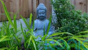 How to make your balcony a calm outdoor space