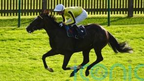Burdett Road remains on Cheltenham course
