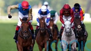 Gregory pleasing Gosden in preparation for Red Sea run