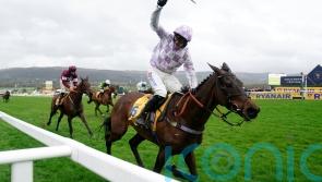 &lsquo;Niggly issue&rsquo; for Golden Ace not expected to derail Festival bid