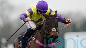 Nemean Lion refuses to be denied in National Spirit