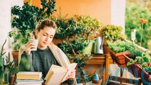 How to create an outdoor reading space in a small garden