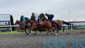 Lulamba and Palladium both ‘super’ in Kempton workouts