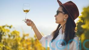 6 snazzy white wines for springtime sipping
