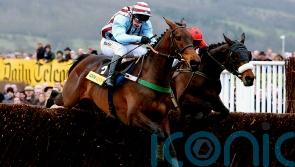 Three Gold Cups – but it might just have been a different Best Mate story