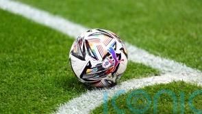 Government should be able to order football regulator to review decisions – MP