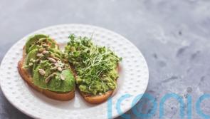 Brunch substitutes for your avocado toast, as Alan Titchmarsh calls out environmental impact