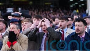 Bookmakers saved from ’50million’ hammering at Cheltenham