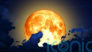 How the blood worm moon will affect these 4 star signs