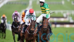 The New Lion stars in battling Turners success