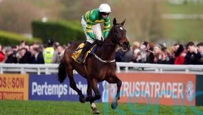 Fact To File coasts to impressive Ryanair Chase victory