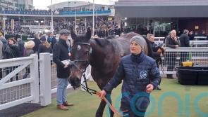 George points to Cheltenham track after Francais defeat